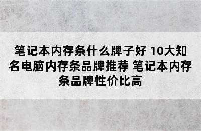 笔记本内存条什么牌子好 10大知名电脑内存条品牌推荐 笔记本内存条品牌性价比高